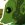 Blog do Greedo