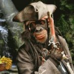 E se os Animais Fossem Piratas? E se os Animais Fossem Piratas?