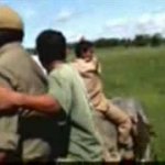 Tigre Ataca Indiano em Cima de Elefante