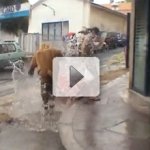 10 Anos de Remi Gaillard