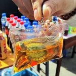 Chaveiros com Tartarugas Vivas é Moda na China Chaveiros com Tartarugas Vivas é Moda na China
