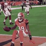 Um Incrível Touchdown