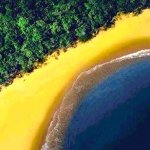Promissores Projetos Brasileiros