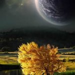 A Enigmática e Misteriosa Combinação: Solo e Espaço A Enigmática e Misteriosa Combinação: Solo e Espaço