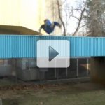 Quando o Parkour N�o D� Certo