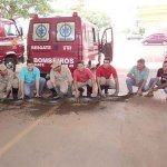 Bombeiros Capturam Sucuri de 6 Metros em Goiás