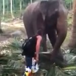 Essa Foi Uma Verdadeira Trombada