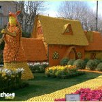 Festa da Laranja na França Festa da Laranja na França