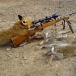 A Raposa Assassina A Raposa Assassina