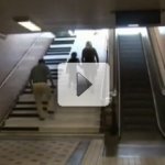 A Escada Mais Divertida do Mundo