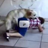 Cachorro Tarado Ataca Velhinha