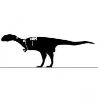 Nova Espécie de Dinossauro Descoberta em Madagascar