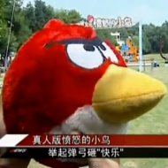 Chineses Criam Parque Temático de Angry Birds