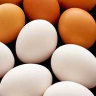 Por quê Existem Casca de Ovos de Galinha com Cores Diferentes?