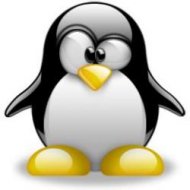 Linux de 50Mb Que Roda do CD