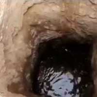 Rapaz Observava Poço de Água e Fica Chocado com o que Viu Lá Dentro