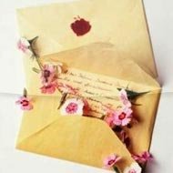 Carta: Delírios de Amor