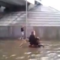 Cão Ajuda Cadeirante Durante Inundação