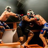 Luta de MMA de Duplas e com Obstáculos?