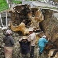 Encontrados Esqueletos Humanos Gigantes Durante Escavações