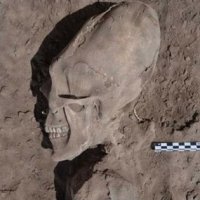 Crânios Com Forma Alienígena Foram Encontrados no México