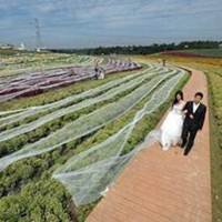 Noiva Tenta Entrar Para o Guinness com Maior Cauda de Vestido, Quase 5 Km de Extensão