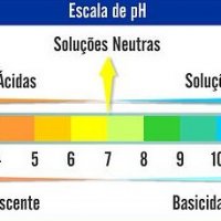 Entenda a Importância da Manutenção do pH Corporal