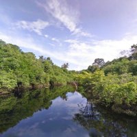 Google Street View Permite Navegar por Rios da Amazônia