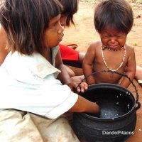 Índios Guarani-Kaiowá Morrem Por Desnutrição