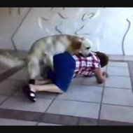 Cachorro Tarado Ataca Velhinha
