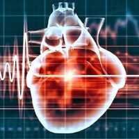 Cientistas Descobrem Hormona que Regenera Coração
