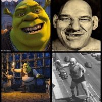 Verdadeiro Shrek