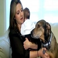 Cachorro Percebe que Bebê Não Estava Respirando e Salva Sua Vida