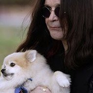 Ozzy Osbourne Compra um Cachorro de Quase R$ 20 mil