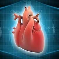 10 Segredos para Um Coração Saudável