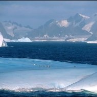 Antártida em Imagens