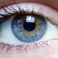 Cientistas Criam Tratamento que Pode Devolver Visão aos Cegos