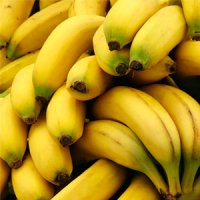 20 Descobertas da Ciência Sobre a Banana