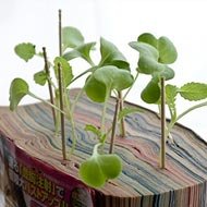 Designer Japonês Transforma Mangás em Vasos para Plantas