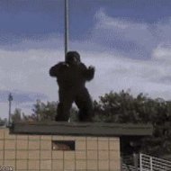 O Salto do Gorila