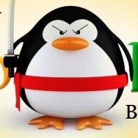 SEO – Faça o Checklist do Penguin Update do Google