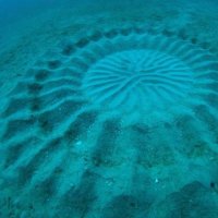 Misteriosos Círculos no Mar do Japão