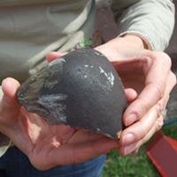 Meteorito de 1kg Cai no Telhado de Polonesa