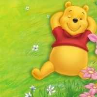 O Ursinho Pooh, na Verdade, é uma Fêmea