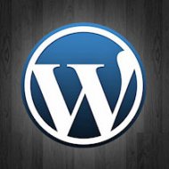Wordpress 2.9 Final - Novidades e Download