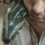Homem Vive com 13 Cobras em seu Apartamento