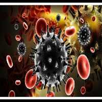 Vacina Contra Aids Será Testada Pela Primeira Vez