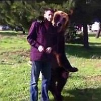 Urso Inteligente Brinca com Seu Treinador