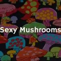 Sexy Mushrooms: Nada Tão Criativo Assim