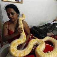Mulher Fica Refém em Apartamento com Cobras Venenosas